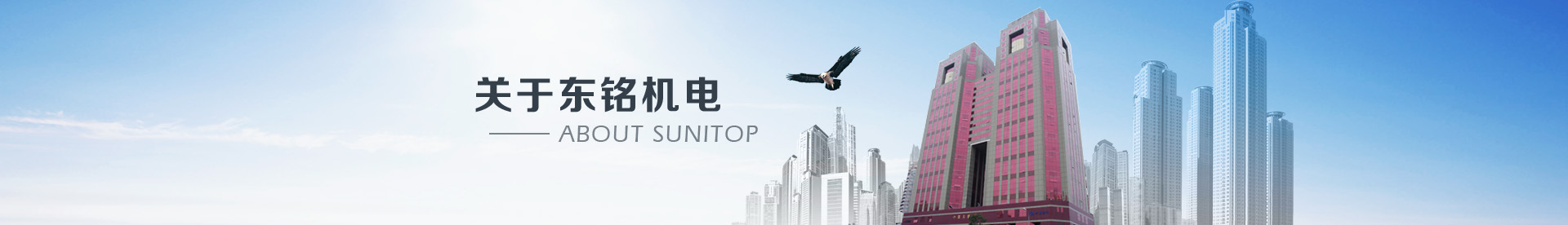 关于我们